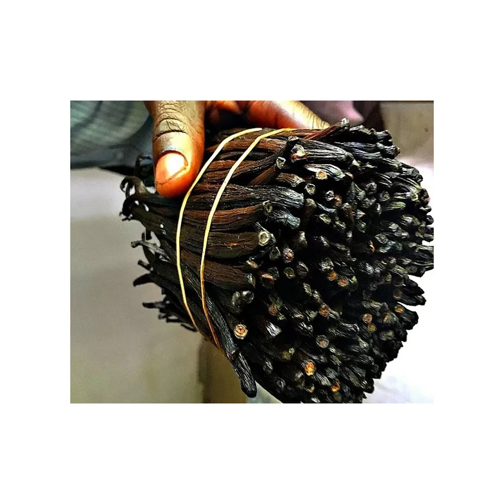 Organic Madagascar Vanilla Beans Black Vanilla Bean Wholesale Supply Best Quality Dried Vanilla in Bulk Packaging