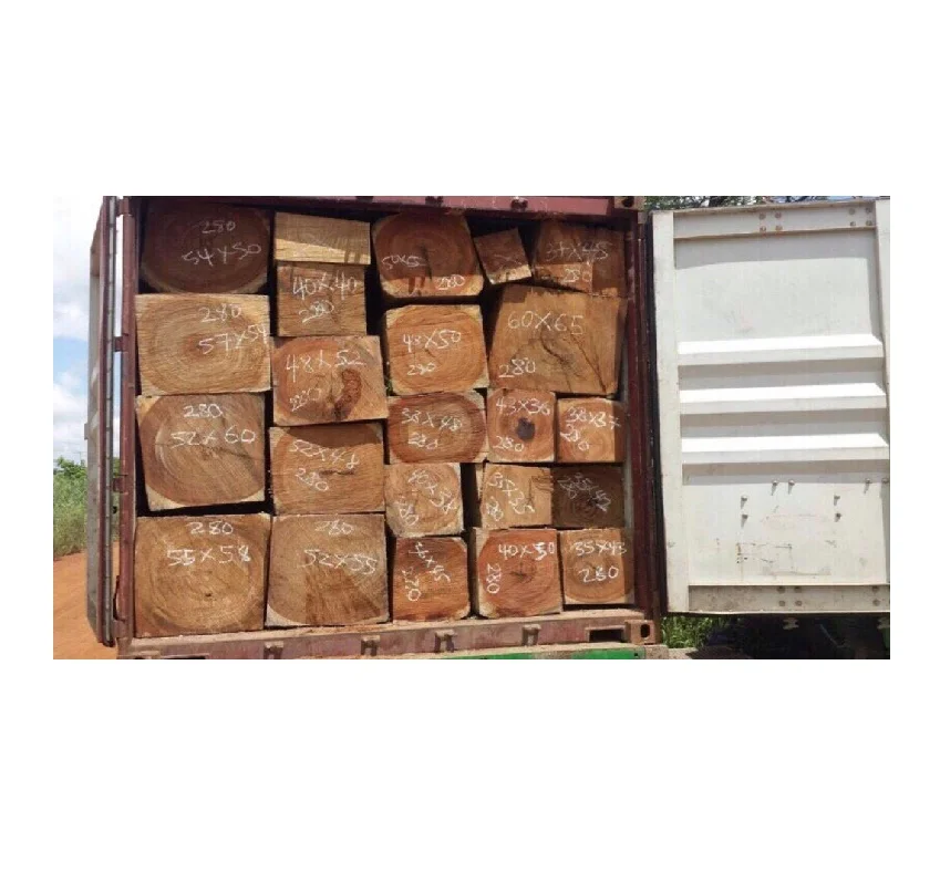 Get Tali Wood Logs in Bulk for Your Next Project Great Savings on Quality Timber for All Your Needs