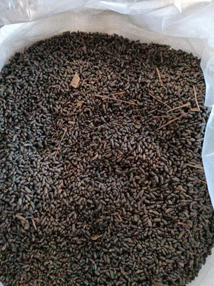 Bat Guano For Fertilizer High Quality 0084816719979