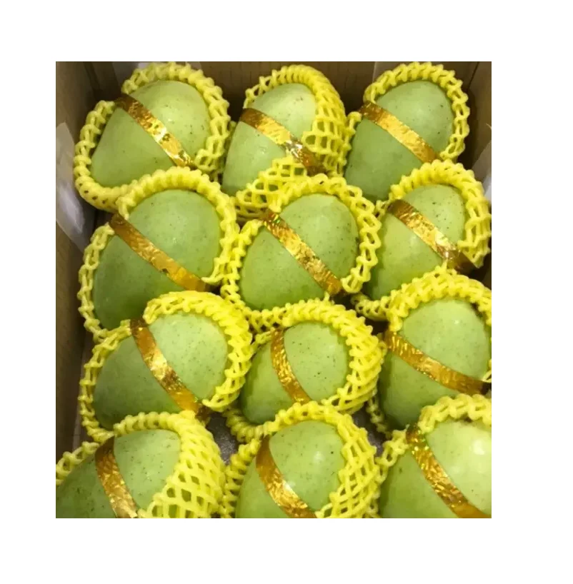 Mango Fresh Yellow and Green Delicious Taste Premium Quality With Customized Packaging Logo Discounted Price