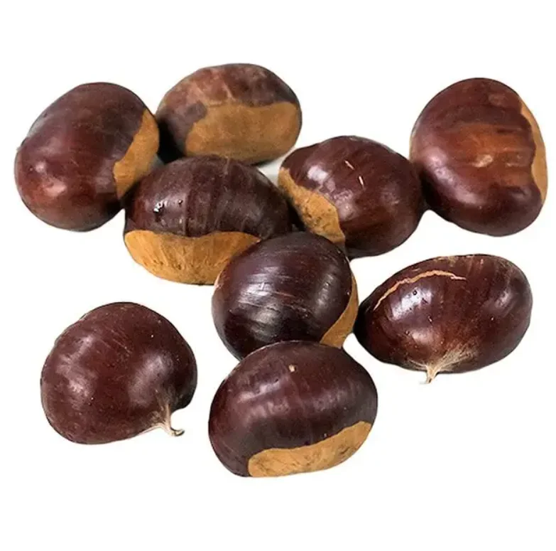 High Quality United Kingdom Fresh Chestnut New Crop Raw Sweet Chestnut Fresh Raw Organic Low Price