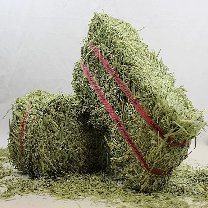 Feed Nutrient | Buy Alfalfa Hay | Hay For Sale | Sell Timothy Hay | Feeds