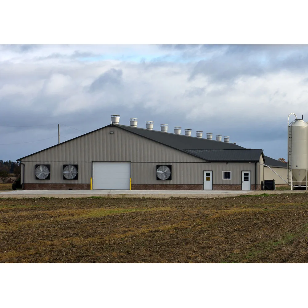 cheap layers cage 1000 chickens poultry farm house broiler chicken house poultry farm design