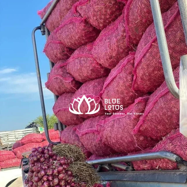 RED ONION VEGETABLES FROM VIETNAM Red Crop Time Newest High Quality Top Selling 2023 Ms Heidi +84 961066080