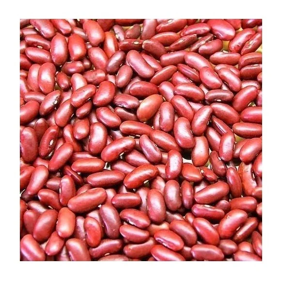 High Quality Dark Red Kidney Beans Long Shape Kidney Beans At Cheap Price Manufacturer From Germany worldwide Exports