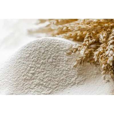 White Flour for all purpose wheat flour in 25kg 50kg bags for sale price, cheap wheat