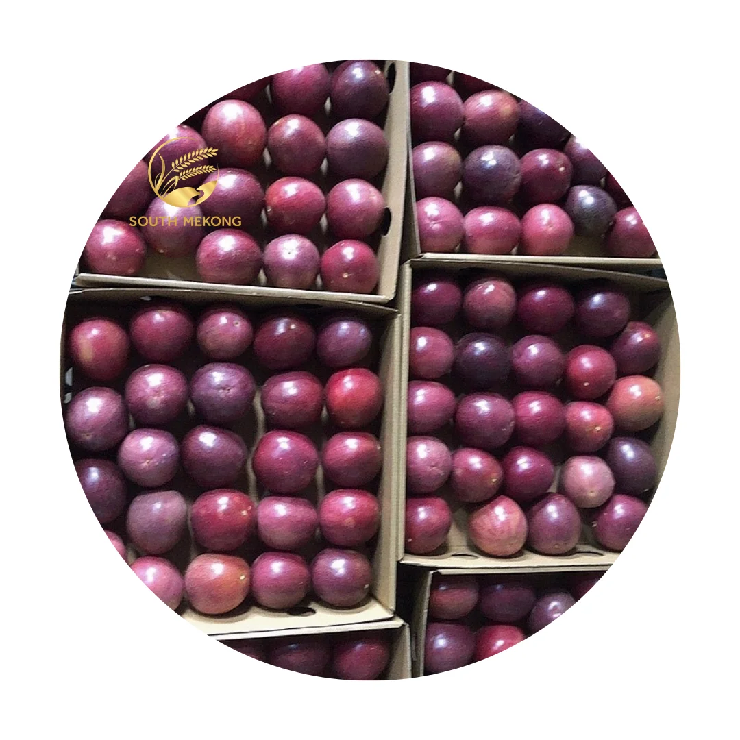 Vietnam Fresh Passion Fruits Natural Favor Supply in Bulk Cheap Price Good Quality South Mekong Supplier