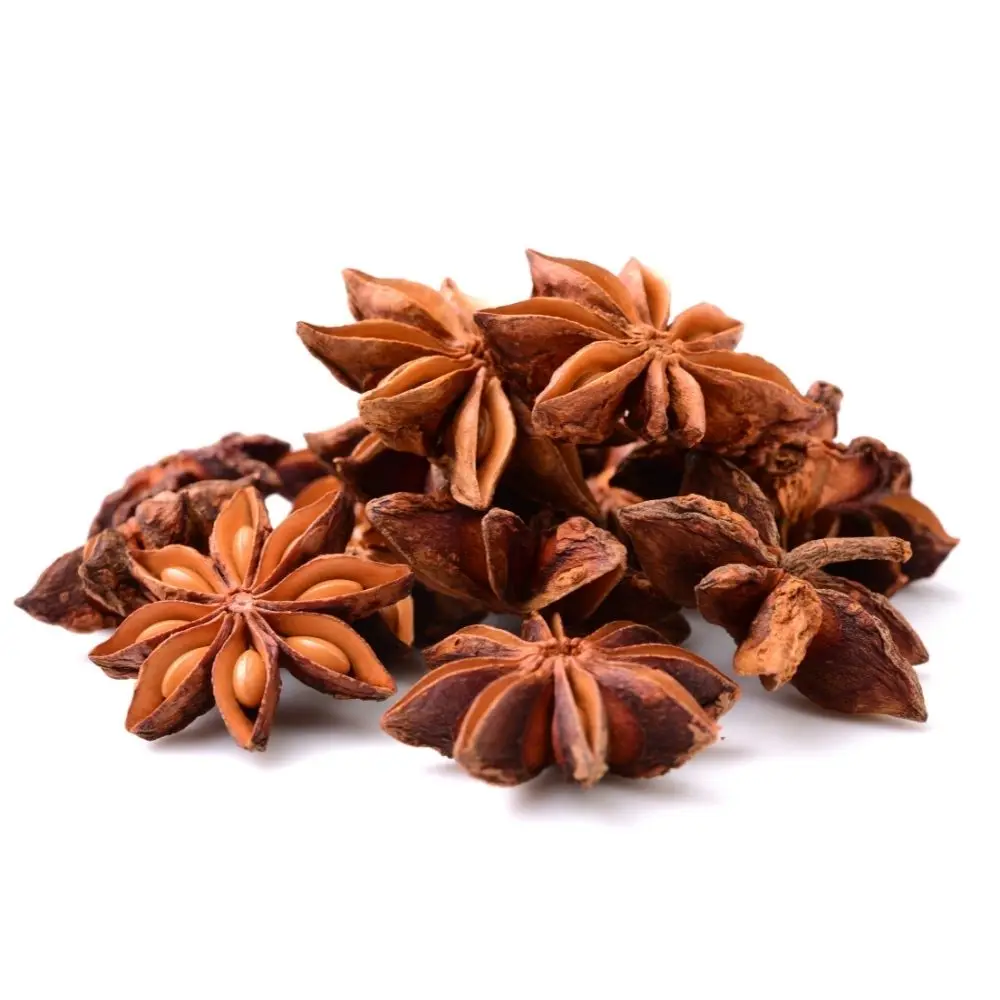 Import export star aniseed popular star anise seeds spices anise flower