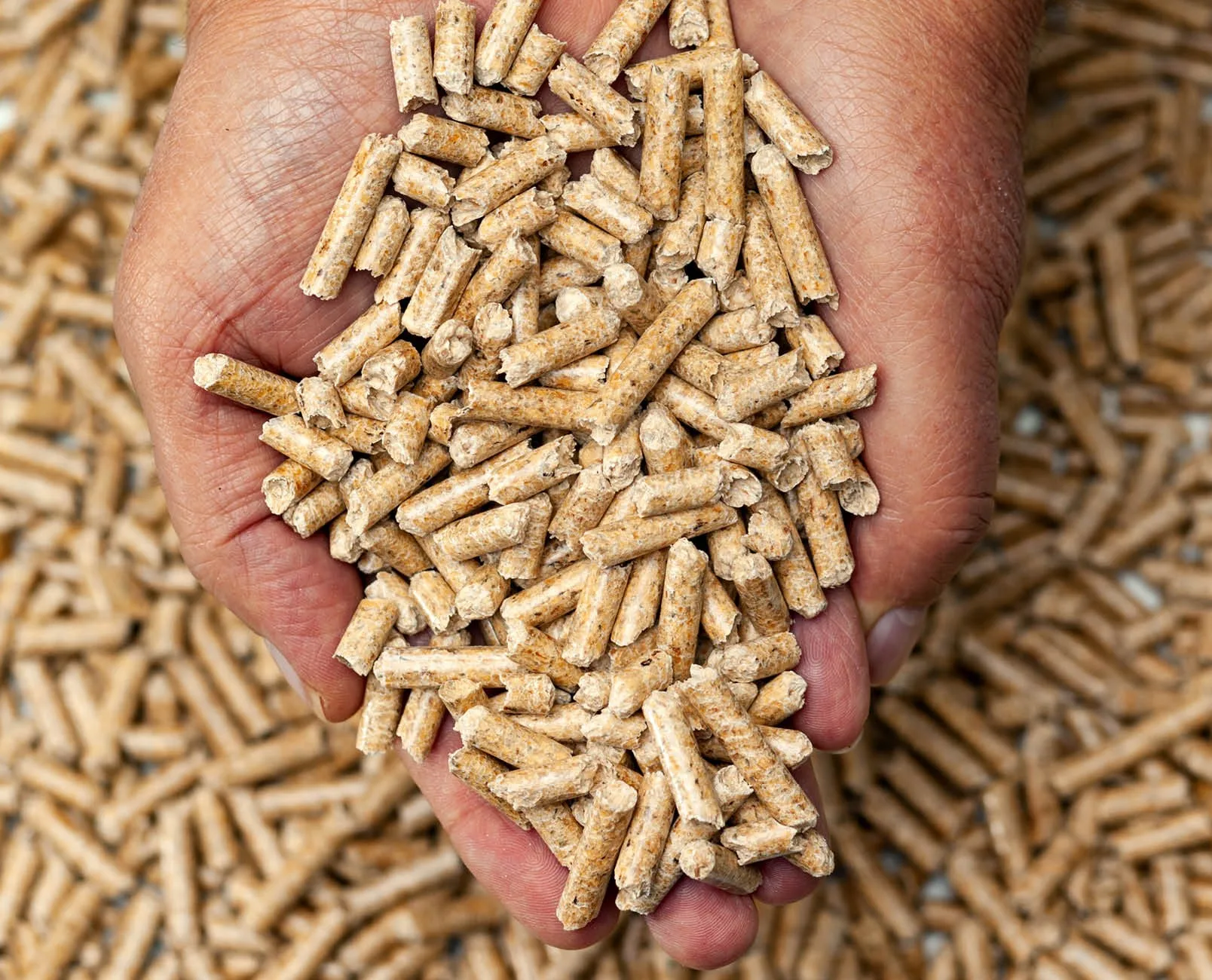 Wood Pellets For Household Stove and Factory Heat
