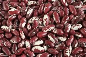 High quality Natural sparkle beans, Dry Light Beans Good, Bulk White Speckled Kidney beans
