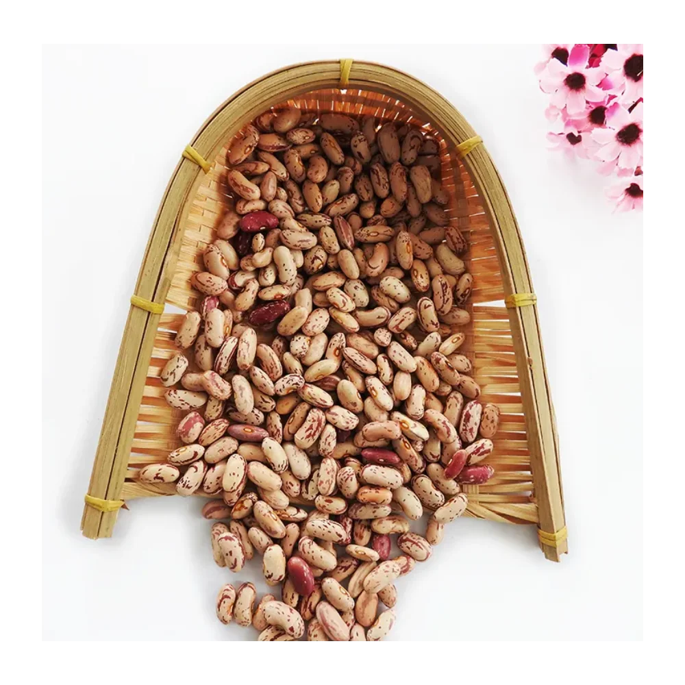 Long Shape Pinto Beans--2023 New Harvest