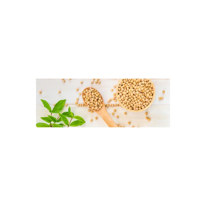 Европейский лучший сорт NON GMO соевые бобы по низкой цене