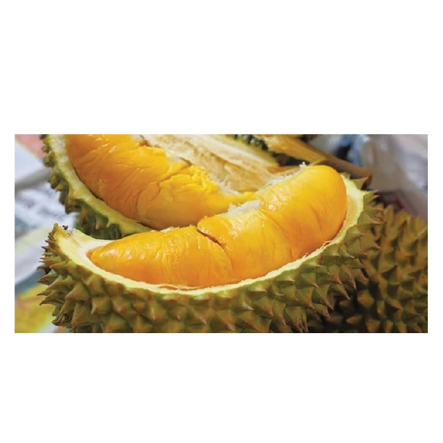 Premium Quality Frozen Durian Fresh Style IQF Process Bulk Packed from Viet Nam