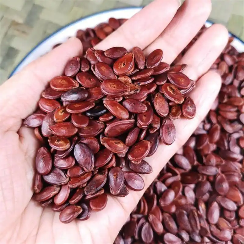Best Seller Vietnam Popular the Watermelon Seed for Tet