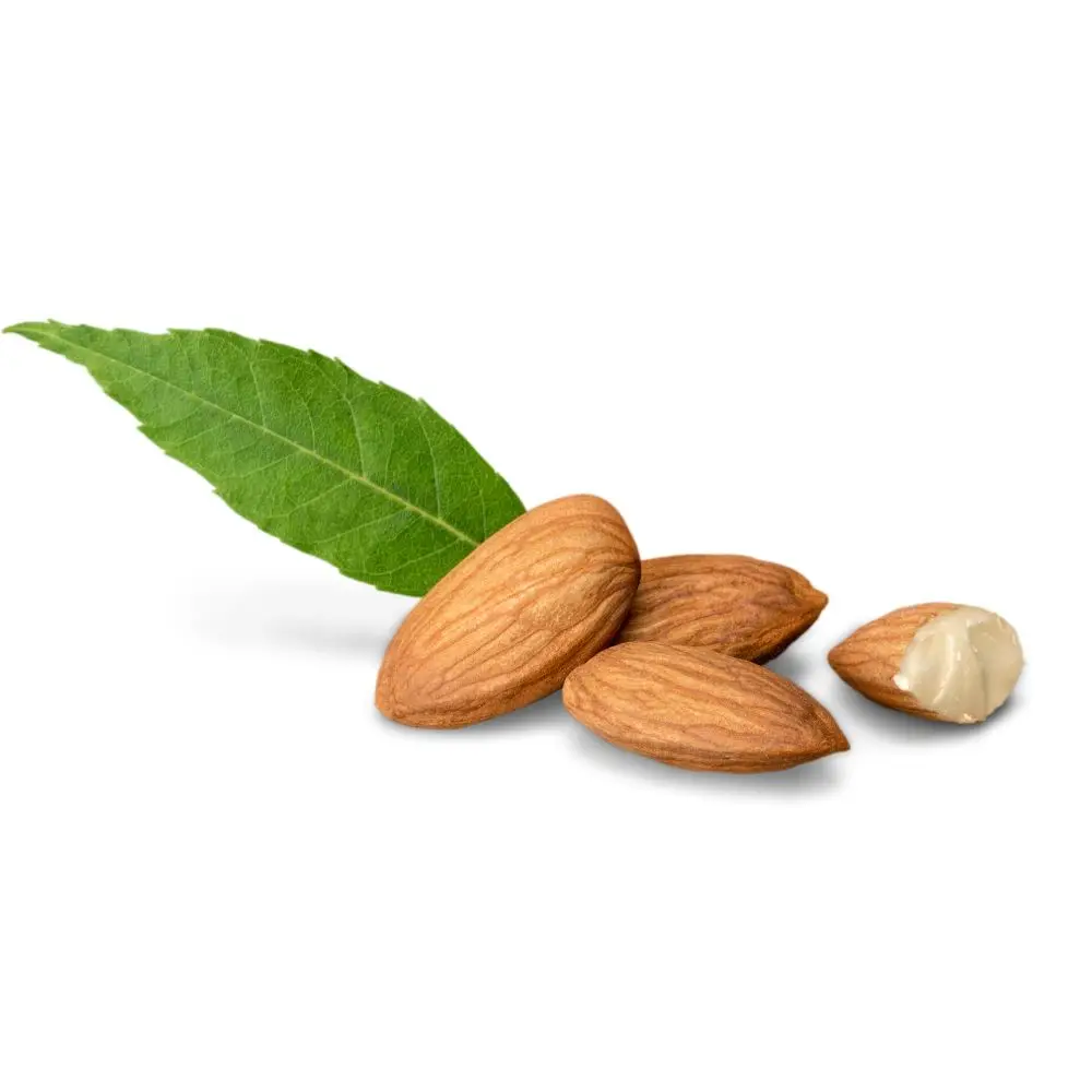 Новейший Урожай миндальных орехов/жареный соленый миндальный 100% оптом из таиландского премиального качества на продажу