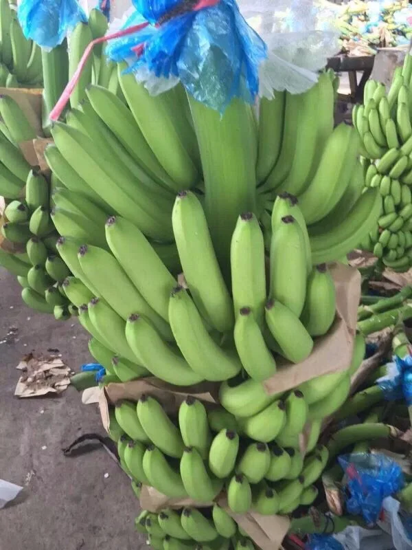 Banana 9.jpg
