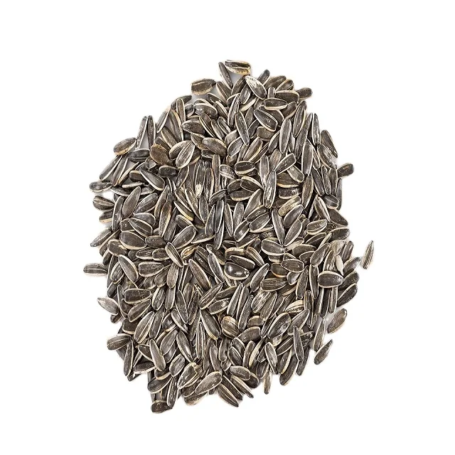 Suppliers Sunflower Seeds Raw Sunflower Karnells in Shell Sale China Bag OEM Shell Box Style Packaging FOOD Natural Taste