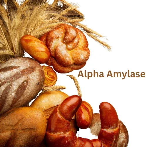 Фермент Альфа амилазы с лучшей ценой и индийскими производителями и поставщиком и с лучшим качеством
