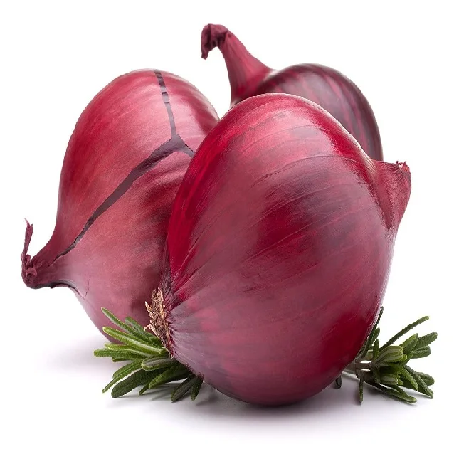 Fresh Red Yellow Onion 6 - 8 mm 2023 Newest Crop Export Quality Fresh Yellow Onion Round Within 7 Days Yellow Red Onion