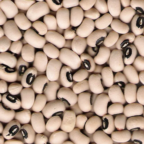 Black Eye Beans Non GMO Healthy nutrition minimum 1 ton for Export available in discount rate