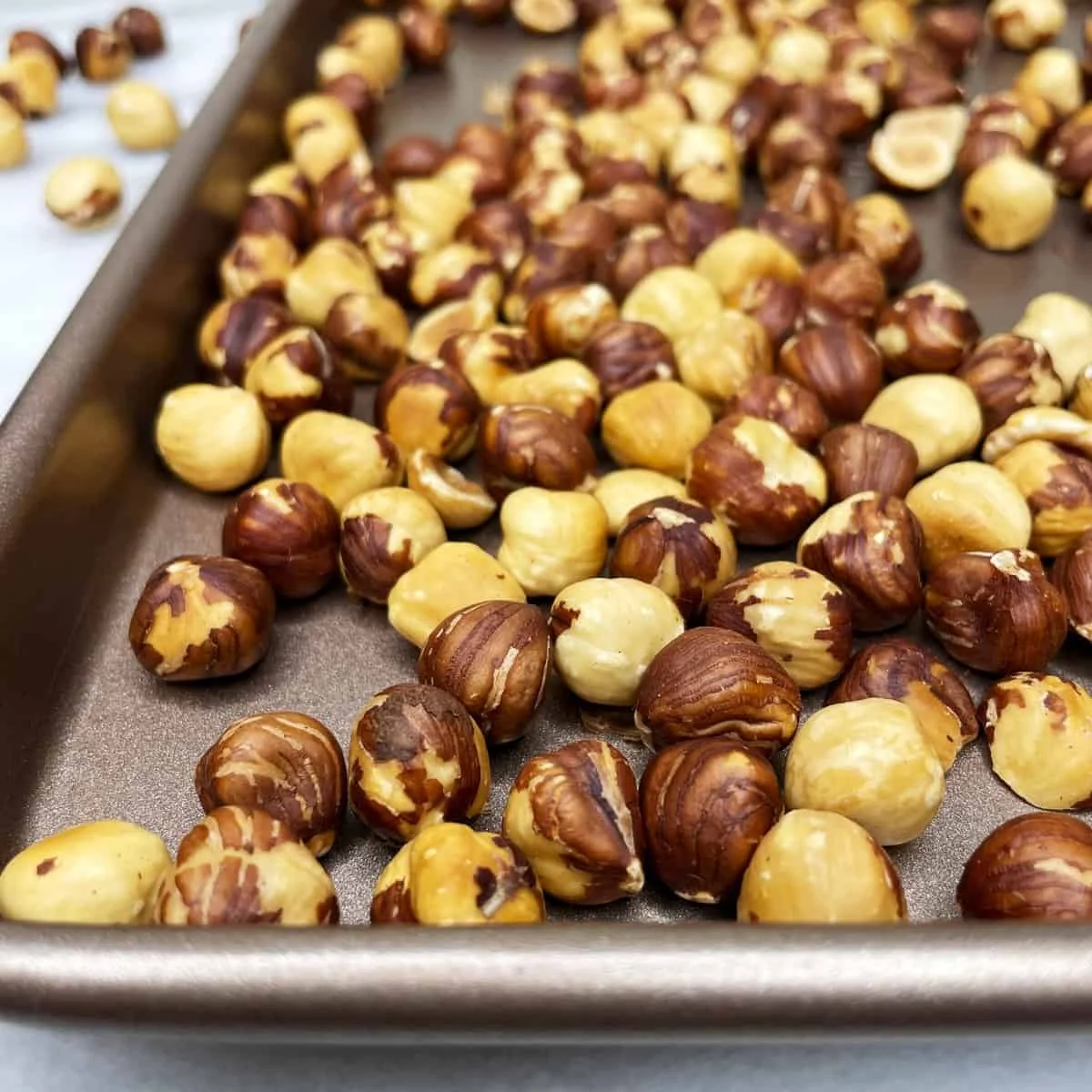 Best Quality Peeled Roasted Hazelnut without Shell