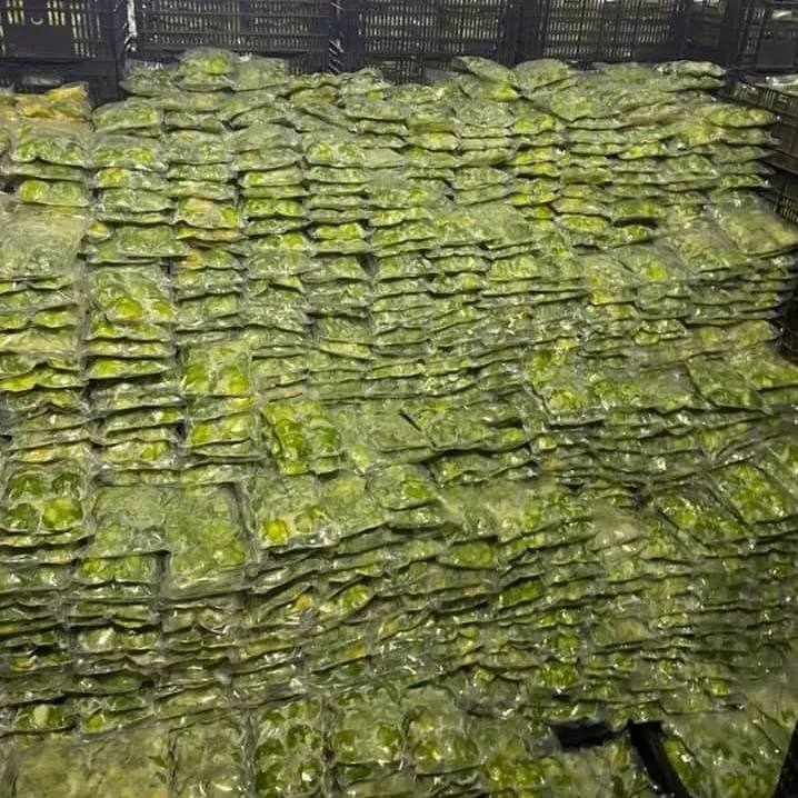 Замороженный авокадо 2022 во Вьетнаме вкусный замороженный Лучшая распродажа хорошего качества