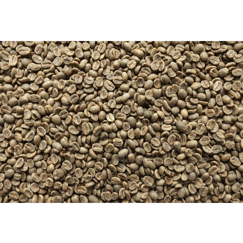 Environmental Friendly Packaging Competitive Price Ferment Free ML Washed Arabica Screen 14 Coffee Beans