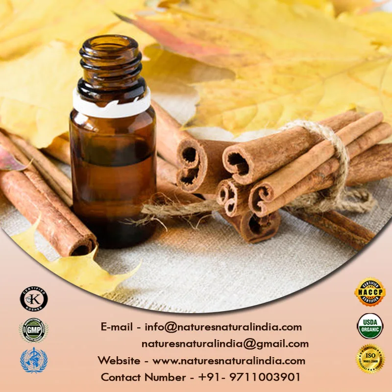 Factory Supply Top Quality Cinnamon Bark Oil at Bulk Wholesale Rates High Concentrated Fragrance Oils for Candle Making