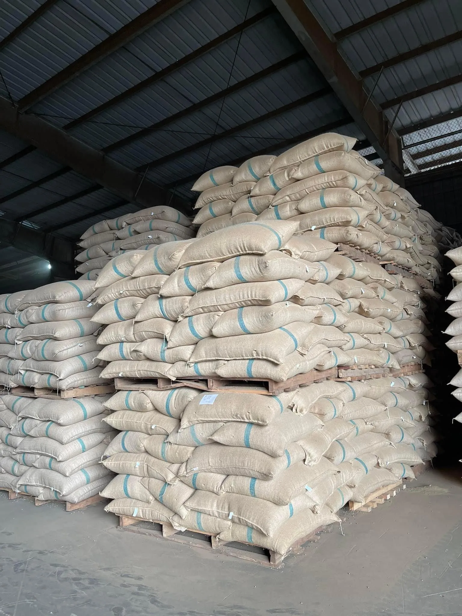 Robusta зеленый кофе в зернах влажный полированный экран S13 S16 S18 джутовой сумке-JANE LEE + 84968234538