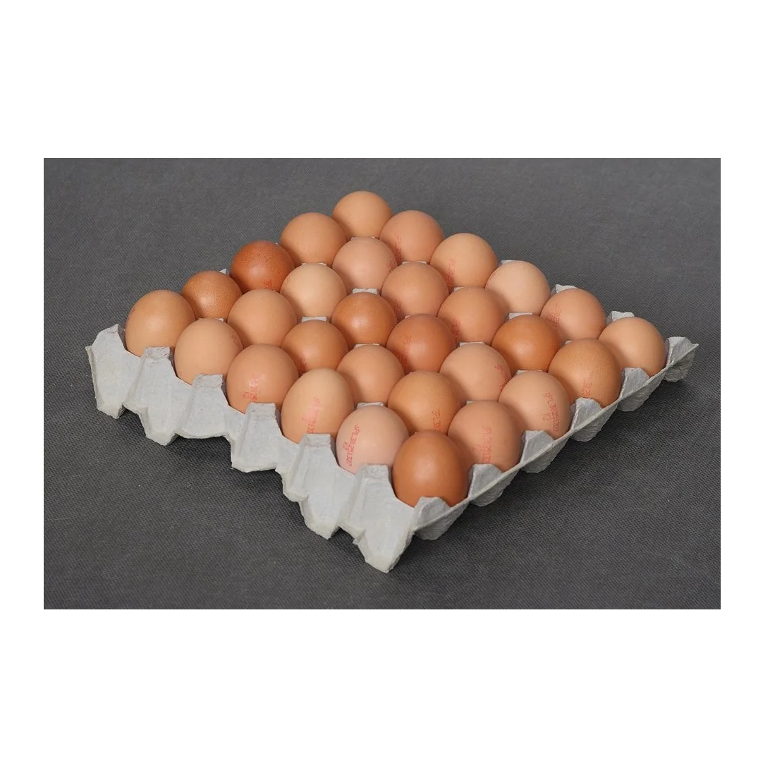 Best Price White / Brown Shell Fresh Table Chicken Eggs Bulk Stock Available With Customized Packing
