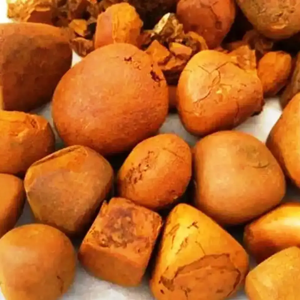 Premium Ox Gallstones for Sale - High-Quality Cattle Gallstones, 100% Authentic Cow Gallstones