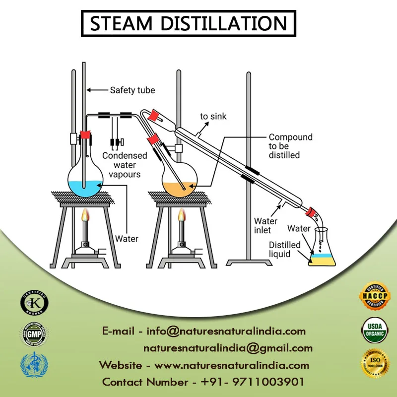 Indian Supplier high quality Essential oil at wholesales Price Pure Laurel Berry oil raw material for soap Making bay oil