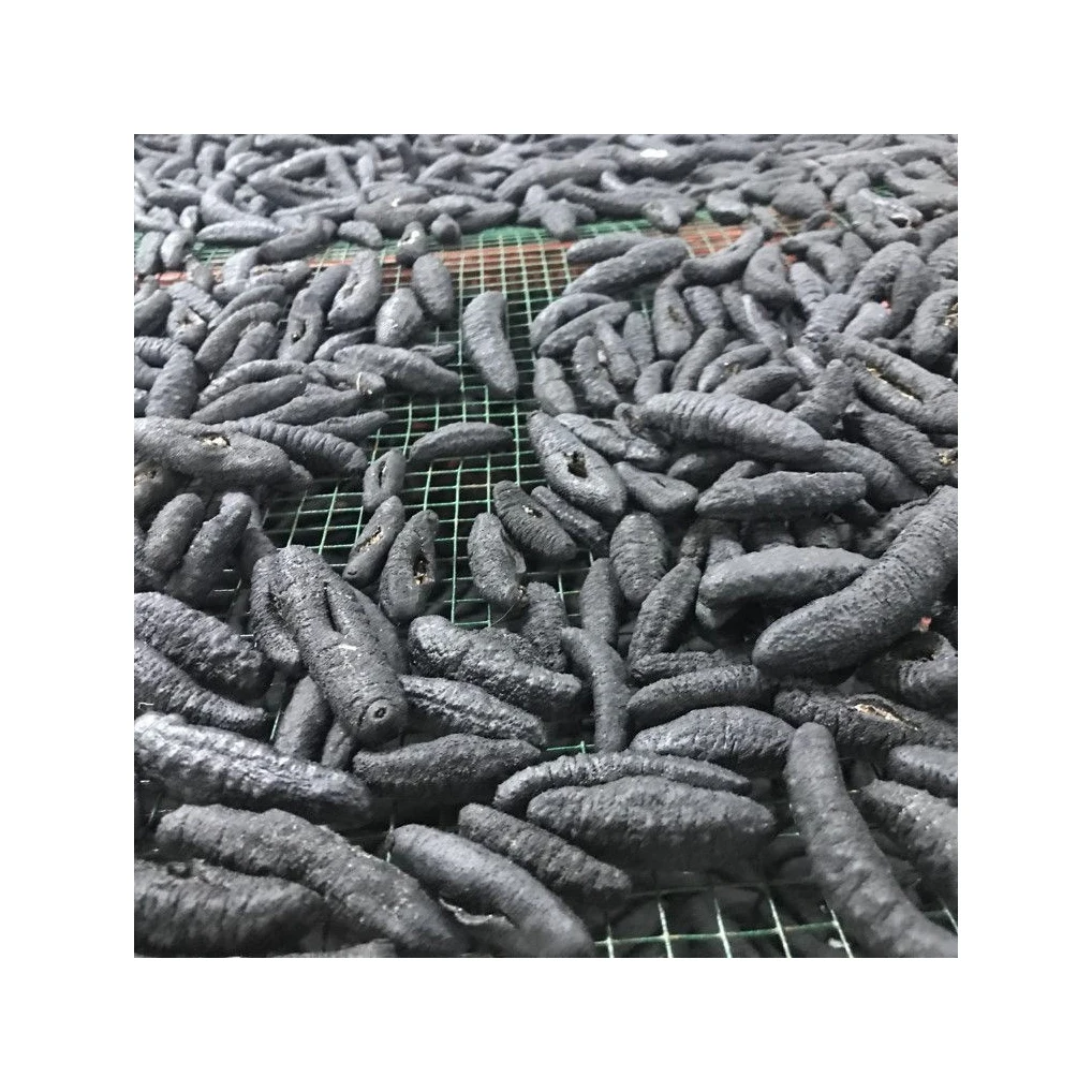 Dried Sea Cucumber with Best price and High quality