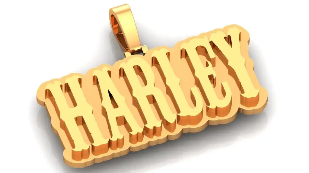 Customised Minimalist Jewelry 18k Gold Plated Initial Letter Pendant Silver Stainless Steel Personalized Name Plate Necklace