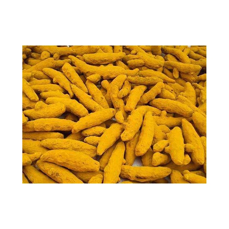 OEM Supply Pure Organic Turmeric Finger Single Spices & Herbs for Cooking