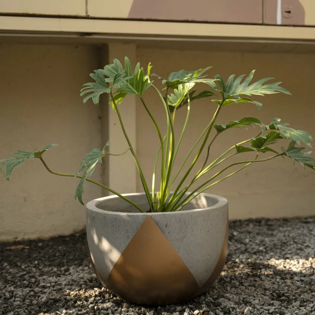 Customize various sizes large planter big own garden vasi fioriu for outdoor set of 4 for plant garden