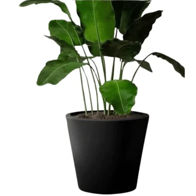 Fiberglass FlowerPots & Planters PC17101 Medium and Large Size Flower Pot