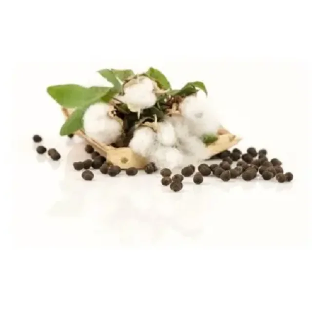 Hot sales price Cotton Seed