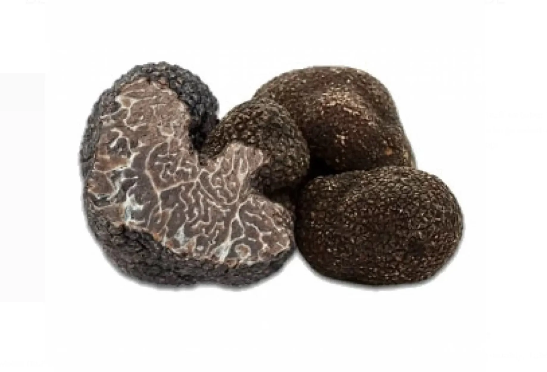 FRESH BLACK WINTER TRUFFLES BRUMALE - SECOND GRADE