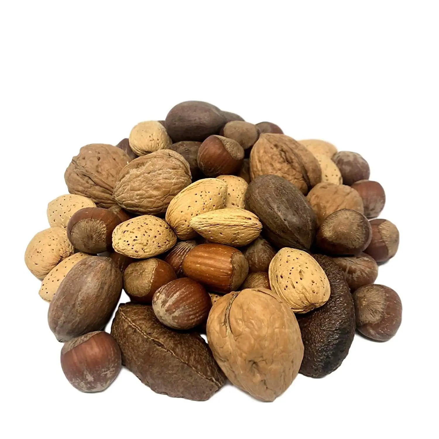 Best Selling Dried Organic Brazil Nut for Export