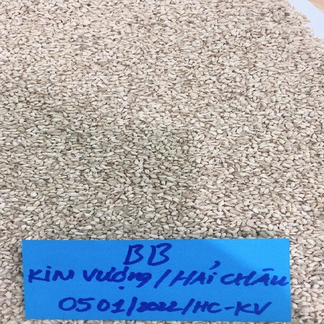 Жареный орех кешью, соленый и жареный орех кешью, самый дешевый орех кешью 2021