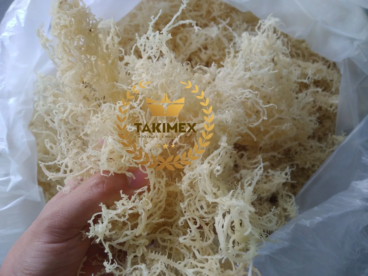 Сушеный EUCHEUMA COTTONII/ирландский Мох/SEAMOSS с наименьшей влажностью из Вьетнама