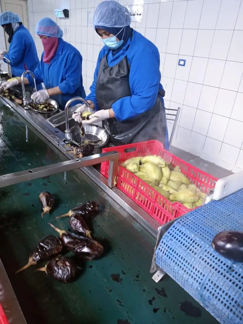 Вкусный естественный вкус свежего жареного баклажана