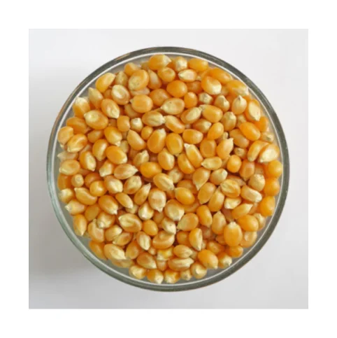Wholesale Price Yellow Corn High Quality Yellow Maize Corn for Animal Feed Supplier