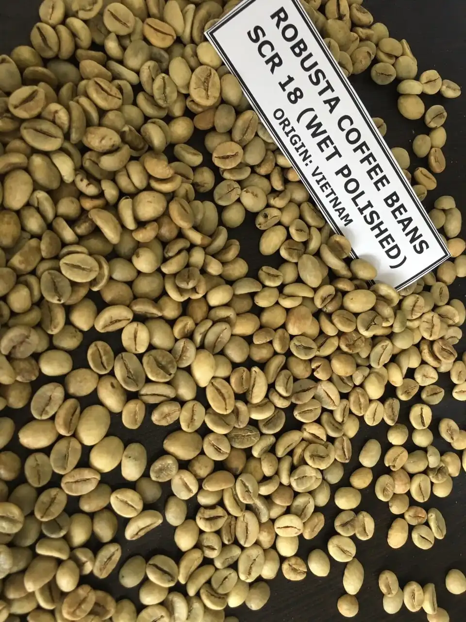 VIETNAM ROBUSTA COFFEE BEANS HIGH QUALITY from King Pepper | Ms Lynn +84333421999 Whatsapp