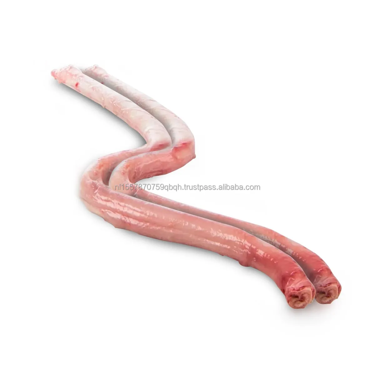 Frozen Beef Pizzle (PENIS) Fresh Chilled Processing Beef Penis Halal Nutritious Frozen Buffalo Meat Beef Pizzle Cheap price
