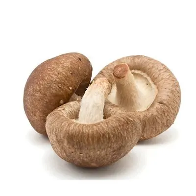 High Quality Natural Dried Shiitake Mushroom for Sale