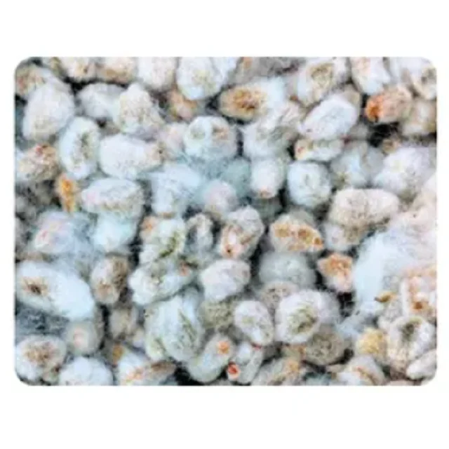High Quality Cheap Cotton Seed Meal Cake Protein-rich Feed Fish Animals Pig Horse Farm Animals Hay Alfalfa Hay Companions Bagged