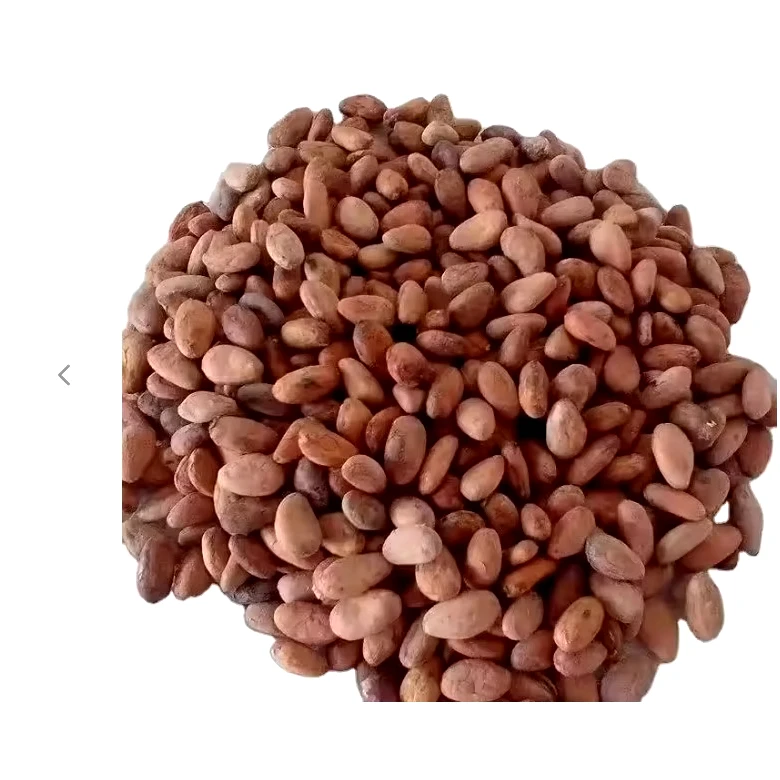 Vietnam cacao beans / cacao powder - Wholesale for raw cacao / cocoa powder - Cocoa bean