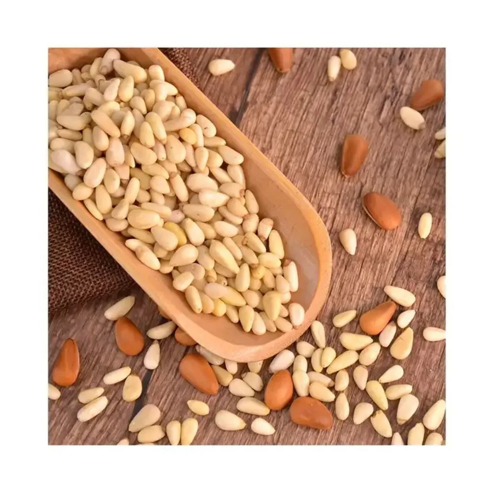Bulk Organic Pine Nuts at Wholesale Prices High Quality Low Price Organic Pine Nuts for Sale Good Price